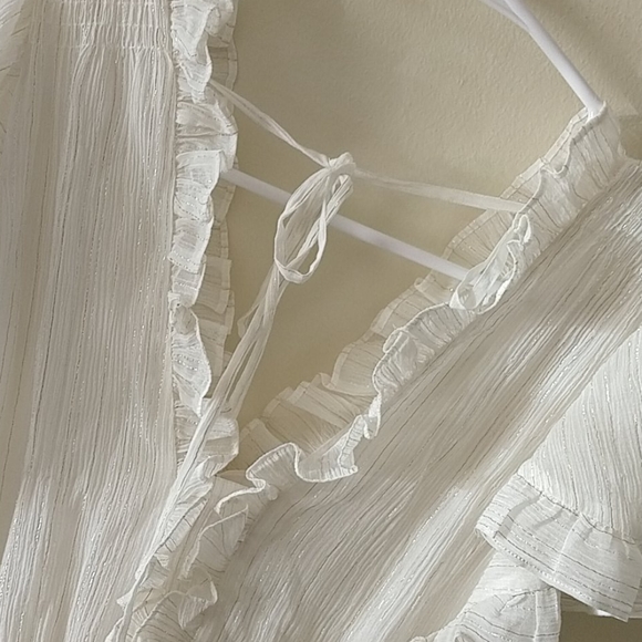 NWT Rebecca Taylor gauzy metallic dress - Picture 9 of 12